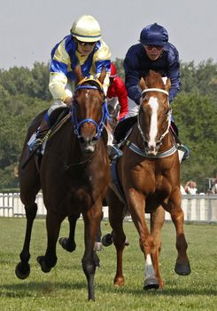 BUDAPEST - J�LIUS 1.
horse racing
julius 1, 2012 in Hungary, Budapest, Kincsem park.