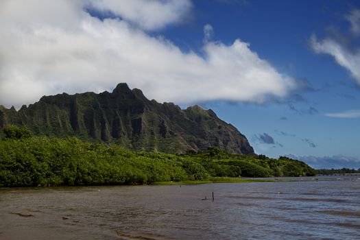 View of Kahana parc from Kahaluu beach