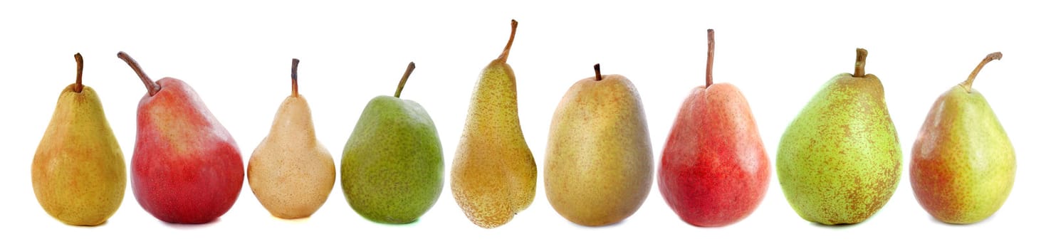 varieties of pears in front of white background
