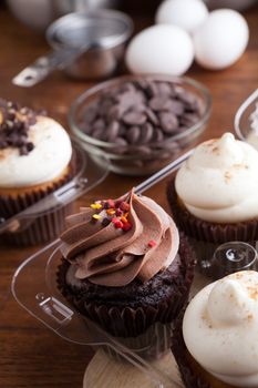 Close up of some decadent gourmet cupcakes frosted with a variety of frosting flavors.