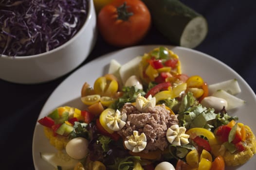 Real food photographed on location in traditional portuguese restaurants, canned tuna fish salad, Portugal