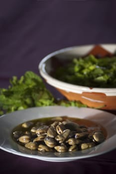 Real food photographed on location in traditional portuguese restaurants, broad beans soup - sopa de favas - Alentejo, Portugal
