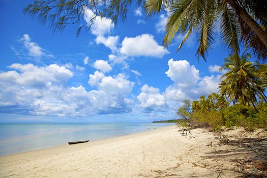 Untouched nature at Mafia Island in Tanzania