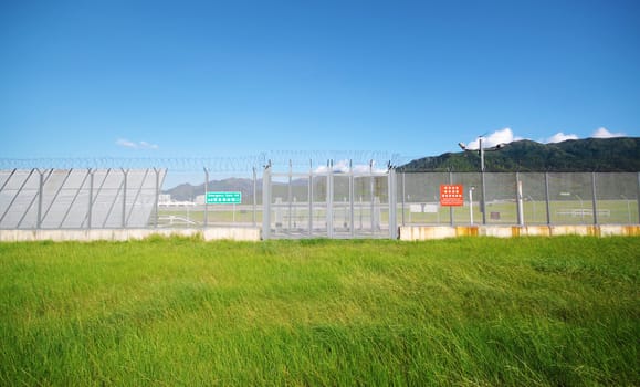 palisade on green yellow meadow 