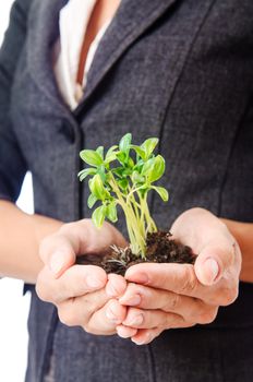 Businesswoman with seedling on white