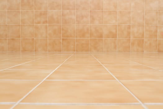 glossy ornamental stone tiled wall and floor in spacious bath room