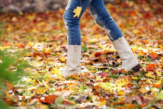 Walking through the autumn leaves, closeup