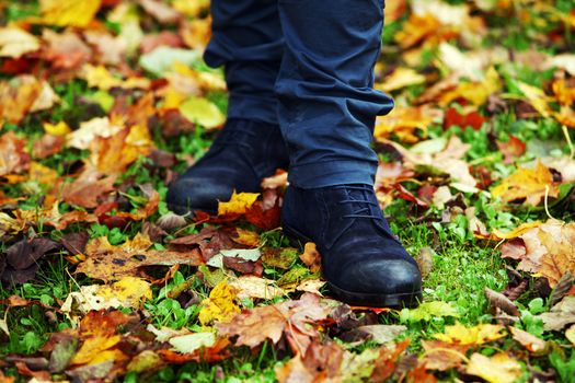 Walking through the autumn leaves, closeup