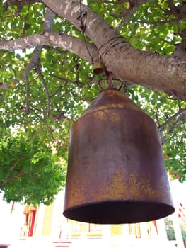 Old brass bell hang on the tree in temple