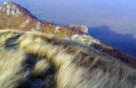 Feather-Grass on Rocks Mountains Forests background