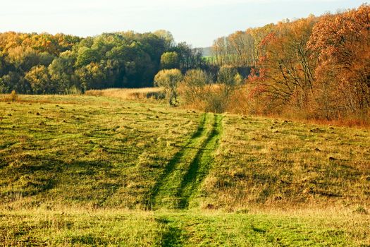 Autumn landscape. Rural road among forests and meadows in setting sun beams