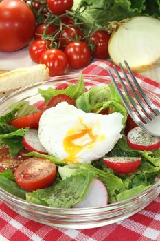 Salad with poached egg, tomatoes, radishes, lettuce and dill