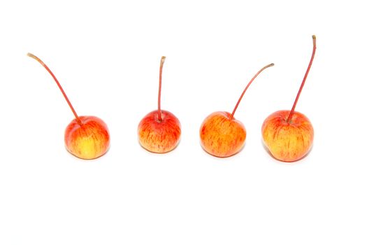 Four crab apples, isolated on a white background