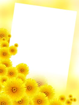 Yellow background with lot of dandelion flowers and blank white surface for text