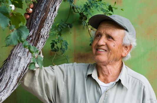 Image shows a happy senior person looking at an old tree branch