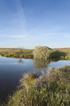 Small lake in the spring season bordered by lush grass