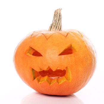 Halloween pumpkin on a white background