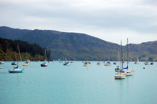 Yachts in bay, Banks Peninsula, New Zealand