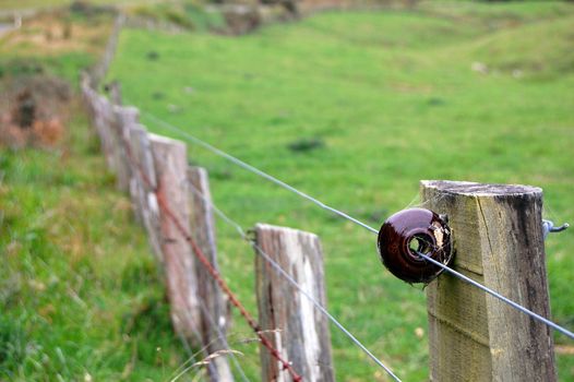 Electric fence on farm, Banks Peninsula, New Zealand