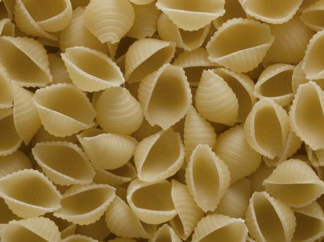 close up of conchiglie pasta food background