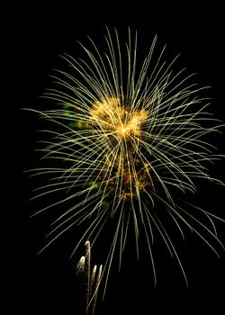 beautiful fireworks against the dark sky, fireworks