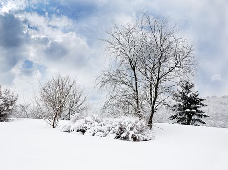 Magic view of Winter Park in luminous faded colors