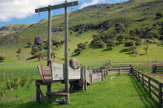 Cattle pen on New Zealand farm