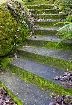 Old moss and leaves covered Curved Concrete Steps up a small home hill