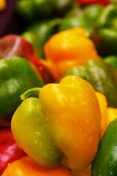 Green and Yellow Bell Peppers at the farmers market with sharp focus on center vegetable