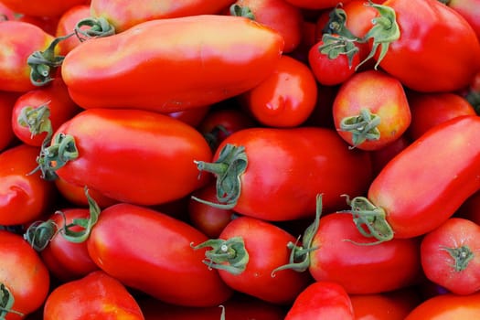 Pile of ripe red Italian Tomatoes at the farmers market