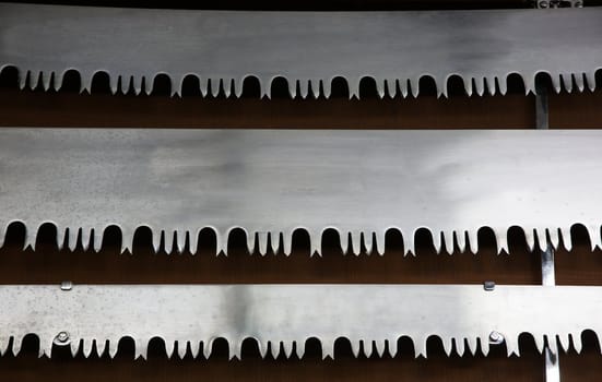 Three loggers crosscut hand saws mounted on a dark background