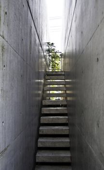 Modern Stairway to the light with bare concrete wall