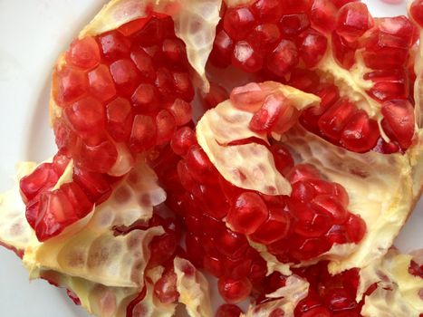 pomegranate open show her fresh seeds