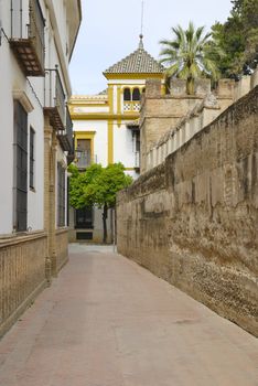 Street in Barrio Santa Cruz, the old Jewish quarter next to the walls of the Royal Alcazar in Seville, Spain.