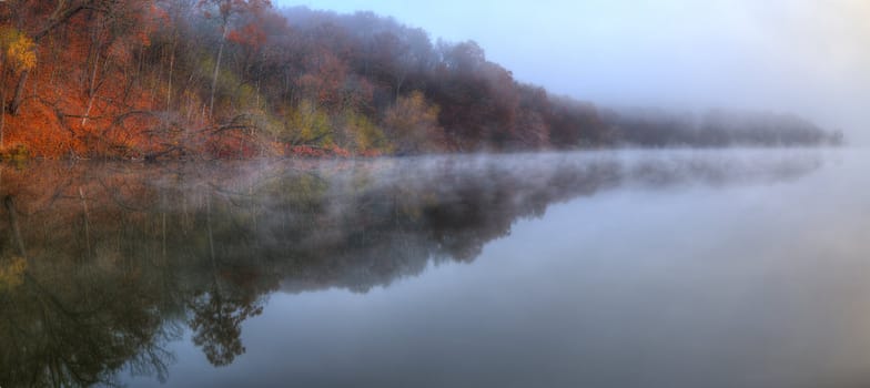 Foggy River Bank Foliage in High Dynamic Range