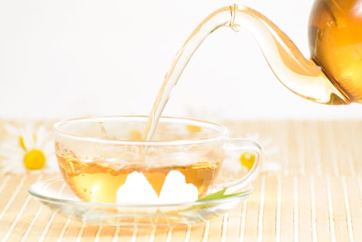 A teacup and a teapot with herbal chamomile tea