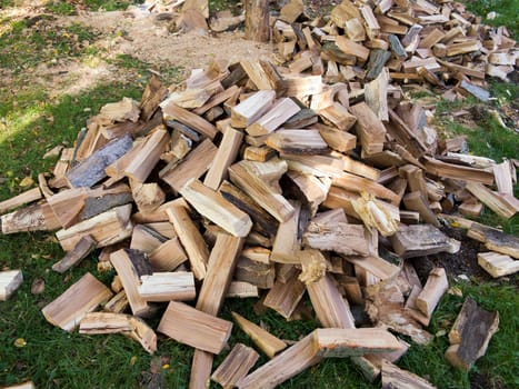 A pile of firewood - supplies for the winter