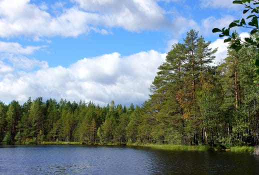 Lake and trees on a background of the blue sky