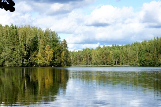 Lake and trees on a background of the blue sky