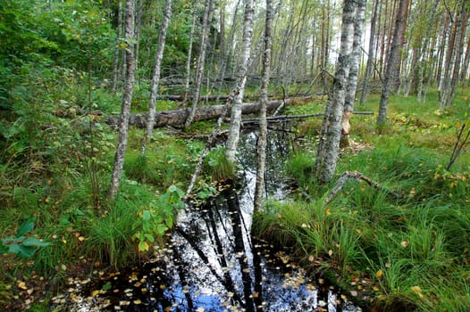 River  on a background of the blue sky