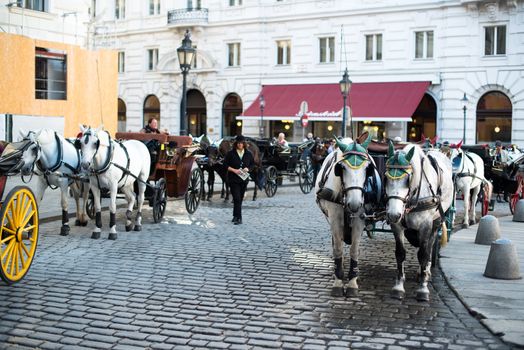 VIENNA - OCTOBER 3: Traditional horses and carriage (also called Fiaker) waiting at the famous Hofburg on October 3, 2012 in Vienna, Austria. The Fiaker rides are a traditional tourist attraction -200 carriages are available each day in this city.