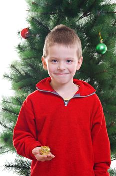 Portrait of young boy holding small gift box standing in front of Christmas tree, looking at camera