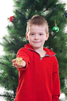 Portrait of young boy handing small gift box standing in front of Christmas tree, looking at camera