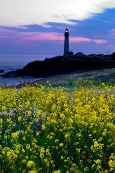 The popular light house at Pigeon Point in California, USA