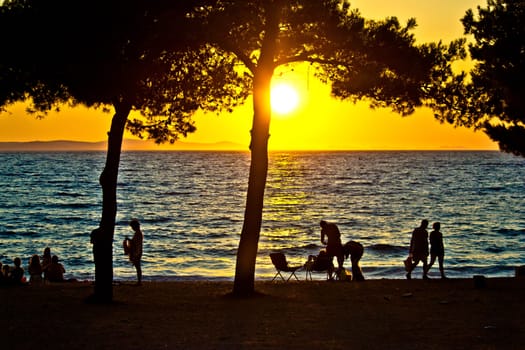 People silhouette on beach at sunset under pine tree
