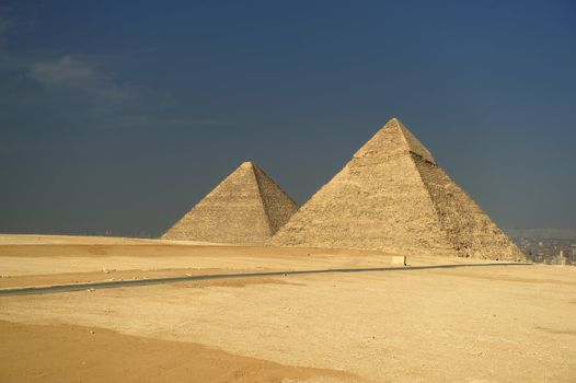 A row of camels transport tourists in front of all of the Giza Pyramids in Cairo, Egypt