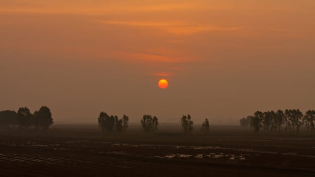 beautiful colourful sunrise on the field