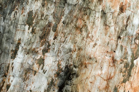 Close-up of texture of weathered painted concrete texture