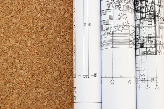 architectural drawing blueprints rolled on a table
