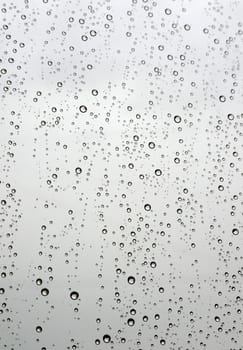 Drops of rain on the window (glass). Shallow DOF.